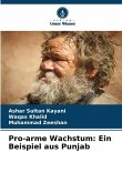 Pro-arme Wachstum: Ein Beispiel aus Punjab Pro-arme Wachstum: Ein Beispiel aus Punjab