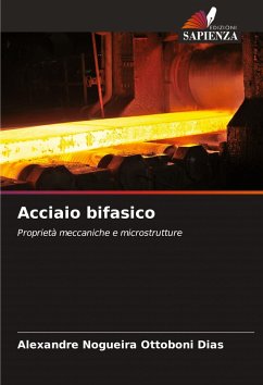 Cover Acciaio bifasico