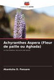 Achyranthes Aspera (Fleur de paille ou Aghada)
