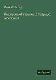 Description of a Species of Caligus, C. Americanus Description of a Species of Caligus, C. Americanus