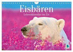 Eisbären: Lebenskünstler im Eis (Wandkalender 2026 DIN A4 quer), CALVENDO Monatskalender Eisbären: Lebenskünstler im Eis (Wandkalender 2026 DIN A4 quer), CALVENDO Monatskalender