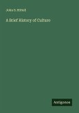 A Brief History of Culture A Brief History of Culture
