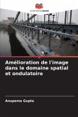 Amélioration de l'image dans le domaine spatial et ondulatoire