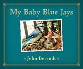 My Baby Blue Jays (eBook, ePUB)