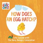 How Does an Egg Hatch? (eBook, ePUB)