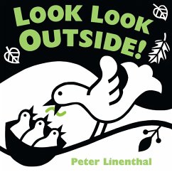 Look Look Outside (eBook, ePUB) - Linenthal, Peter