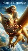 Aliya et l'oiseau-tonnerre (Histoire courte) (eBook, ePUB)