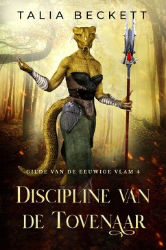 Cover Discipline van de Tovenaar (Gilde van de Eeuwige Vlam, #4) (eBook, ePUB)