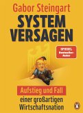 Systemversagen (eBook, ePUB)