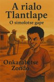 A rialo Tlantlape (eBook, ePUB)