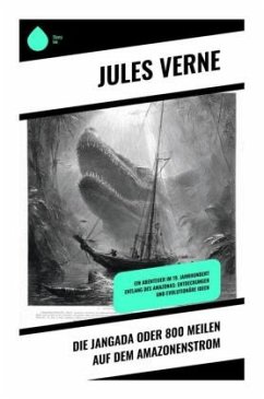 Cover Die Jangada oder 800 Meilen auf dem Amazonenstrom