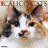 Calico Cats 2026 Wall Calendar