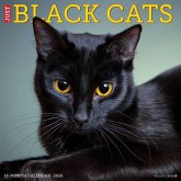 Black Cats 2026 12 X 12 Wall Calendar Black Cats 2026 12 X 12 Wall Calendar