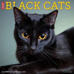 Cover Black Cats 2026 12 X 12 Wall Calendar