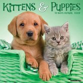 Kittens & Puppies 2026 Wall Calendar