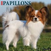 Papillons 2026 Wall Calendar