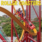 Roller Coasters 2026 12 X 12 Wall Calendar Roller Coasters 2026 12 X 12 Wall Calendar