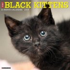 Black Kittens 2026 Wall Calendar Black Kittens 2026 Wall Calendar