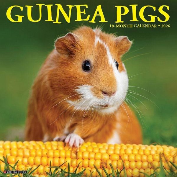 Guinea Pigs 2026 Wall Calendar