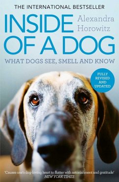 Cover Inside of a Dog