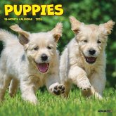 Puppies Mini Wall Calendar