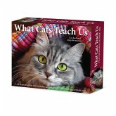 What Cats Teach Us 2026 Box Calendar