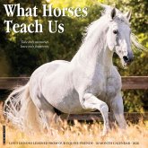 What Horses Teach Us 2026 12 X 12 Wall Calendar What Horses Teach Us 2026 12 X 12 Wall Calendar