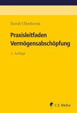 Praxisleitfaden Vermögensabschöpfung Praxisleitfaden Vermögensabschöpfung