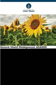 MODERNISIERUNG DER HAUSHALTSMÜLLENTSORGUNG IN BENIN - ADANDE, Honoré Ubald Médégnonmi MODERNISIERUNG DER HAUSHALTSMÜLLENTSORGUNG IN BENIN - ADANDE, Honoré Ubald Médégnonmi