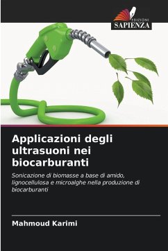 Cover Applicazioni degli ultrasuoni nei biocarburanti