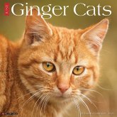 Ginger Cats 2026 12 X 12 Wall Calendar Ginger Cats 2026 12 X 12 Wall Calendar