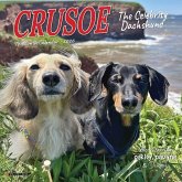 Crusoe the Celebrity Dachshund 2026 7 X 7 Mini Wall Calendar Crusoe the Celebrity Dachshund 2026 7 X 7 Mini Wall Calendar