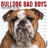 Bulldog Bad Boys 2026 12 X 12 Wall Calendar Bulldog Bad Boys 2026 12 X 12 Wall Calendar