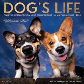 Dog's Life 2026 12 X 12 Wall Calendar Dog's Life 2026 12 X 12 Wall Calendar