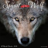 Spirit of the Wolf 2026 12 X 12 Wall Calendar Spirit of the Wolf 2026 12 X 12 Wall Calendar