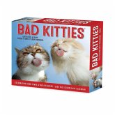 Bad Kitties 2026 5.4 X 6.2 Box Calendar Bad Kitties 2026 5.4 X 6.2 Box Calendar