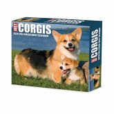 Corgis 2026 5.4 X 6.2 Box Calendar Corgis 2026 5.4 X 6.2 Box Calendar