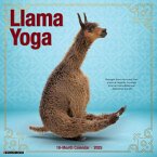 Llama Yoga 2026 Wall Calendar