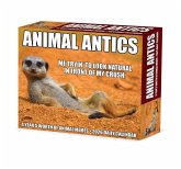 Animal Antics 2026 Box Calendar
