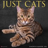 Cats 2026 Wall Calendar