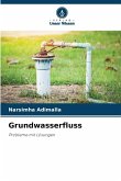 Grundwasserfluss