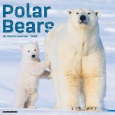 Polar Bears 2026 Wall Calendar