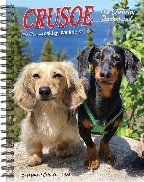 Crusoe the Celebrity Dachshund 2026 Engagement Calendar