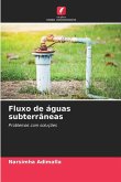 Fluxo de águas subterrâneas Fluxo de águas subterrâneas