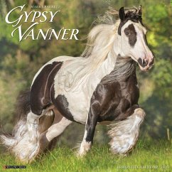 Gypsy Vanner Horse 2026 12 X 12 Wall Calendar - Willow Creek Press