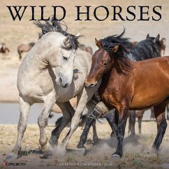 Cover Wild Horses 2026 Wall Calendar