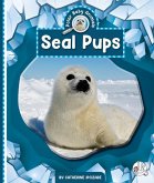 Seal Pups Seal Pups