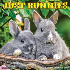 Bunnies 2026 12 X 12 Wall Calendar - Willow Creek Press