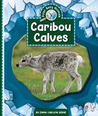 Caribou Calves Caribou Calves