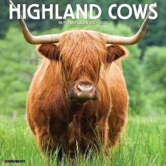 Highland Cows 2026 12 X 12 Wall Calendar - Willow Creek Press